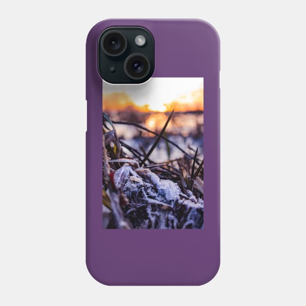 Beautiful frozen leaves on the surface of an icy lake in Scotland Phone Case by chiaravisuals