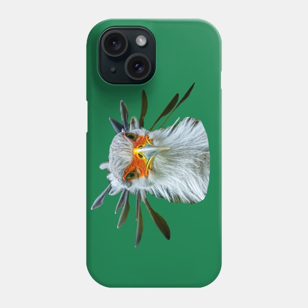 Secretary Bird Phone Case by dalyndigaital2@gmail.com