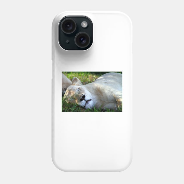 Sleeping White Lion Phone Case by Carole-Anne