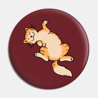 playful ginger cat Pin