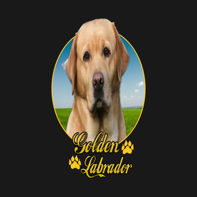 Golden Labrador by petermurphy619