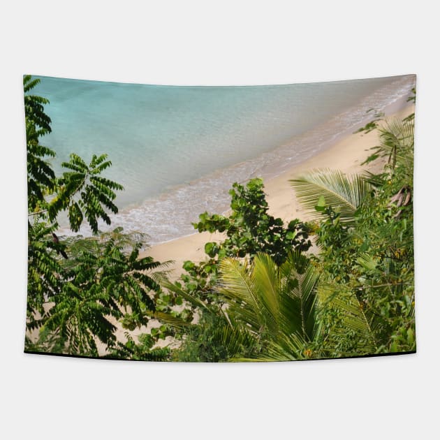 Palm Beach Tapestry by StylishPrinting