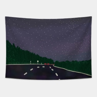 starry road Tapestry