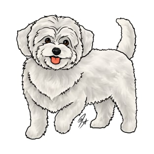 Dog - Maltipoo - White T-Shirt