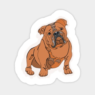 Never Lose Your LAZY ENGLISH BULLDOG Again! Magnet