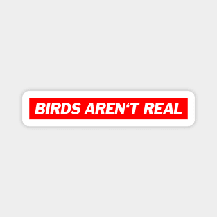 Birds aren't real - Pidgeon Surveillance Memes Magnet