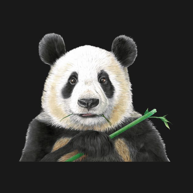 PANDA by Patrizia Donaera Illustration