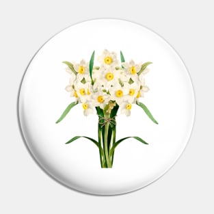 Bunch of daffodils - mellow yellow Pin
