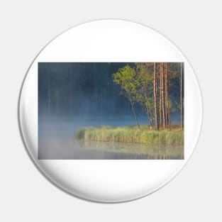 Forest reflecting to small lake at morning Pin