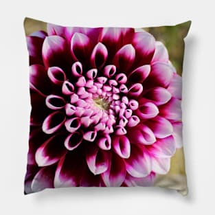 Maroon Petals Pillow