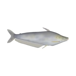 Silver Catfish T-Shirt