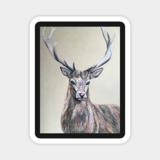 Stag Magnet