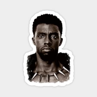 Black Panther Wakanda mode transparant Magnet