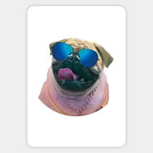 Dog Wearing Sunglasses Stickers for Sale