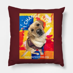 Early Alert  Changes Lives Pillow