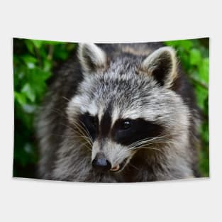 Raccoon Tapestry