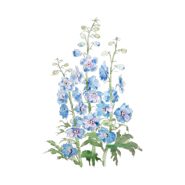 blue purple delphinium ink and watercolor by colorandcolor