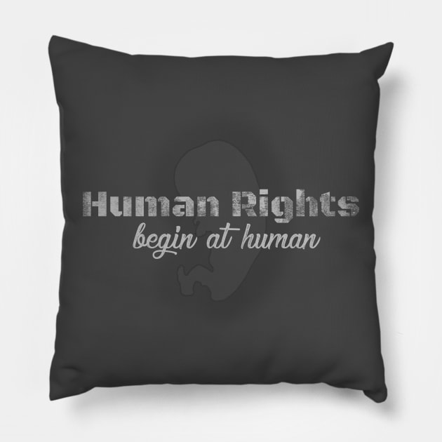 Human Rights Begin at Human Pillow by Lemon Creek Press