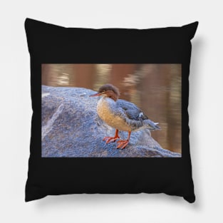 Merganser Pillow