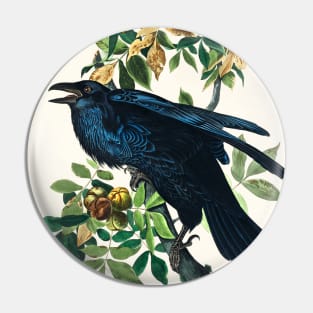 Raven from Birds of America (1827) Pin