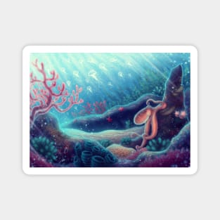 Ocean Life Magnet