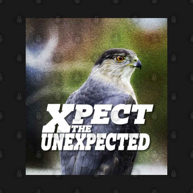 Xpect the Unexpected Hawk by Ripples of Time