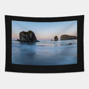 Harris Beach at Dawn Tapestry