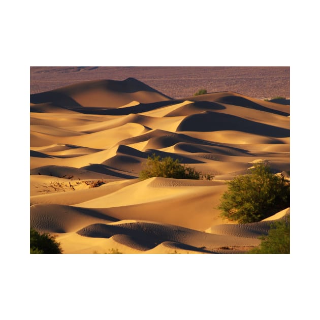 Sand Dunes by algill