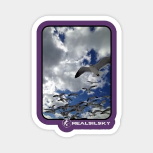 Seagulls & Clouds (realSILSKY IG designs) Magnet