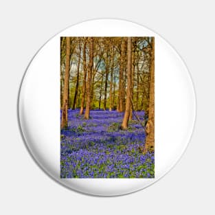 Bluebell Woods Greys Court Oxfordshire England Pin