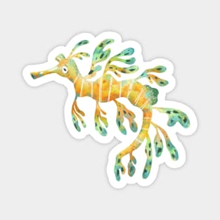 Leafy Seadragon Magnet