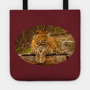 Leopard Tote