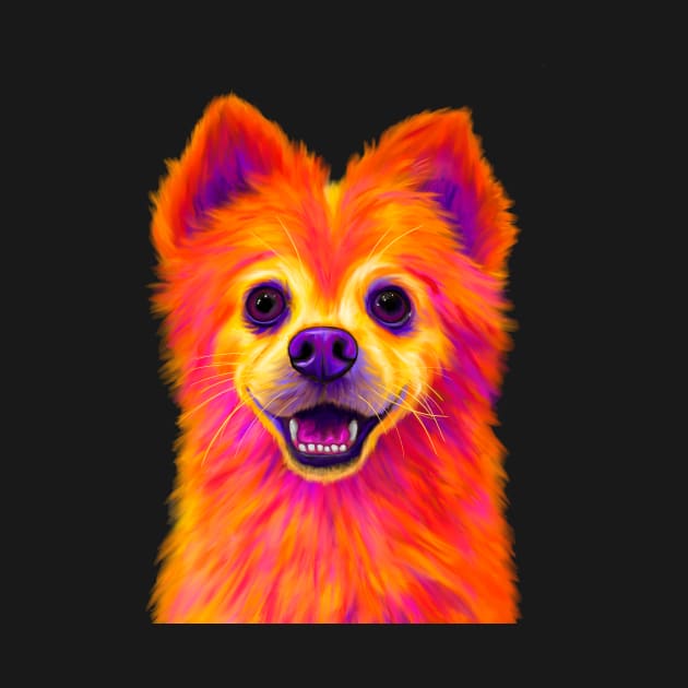 Roy the Pomeranian by NeonFuzz