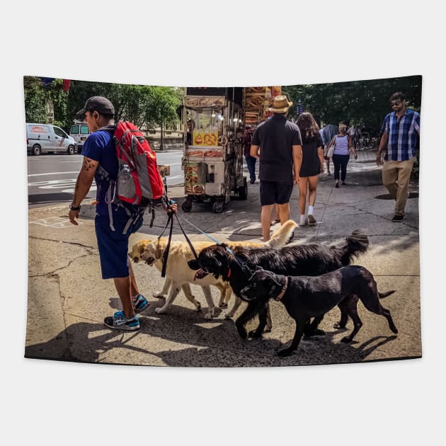 Dog Sitter, Central Park, Manhattan, New York City Tapestry by eleonoraingrid