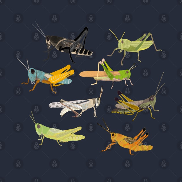 Grasshoppers by ahadden