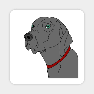 Weimaraner portrait Magnet