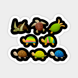 Turtles Magnet