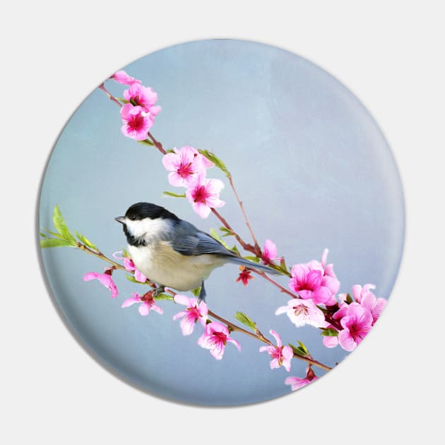 Carolina Chickadee and Peach Blossoms Pin by lauradyoung