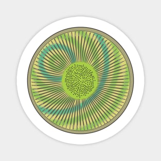 Diatom - Fascinorbis illustris (artwork) Magnet