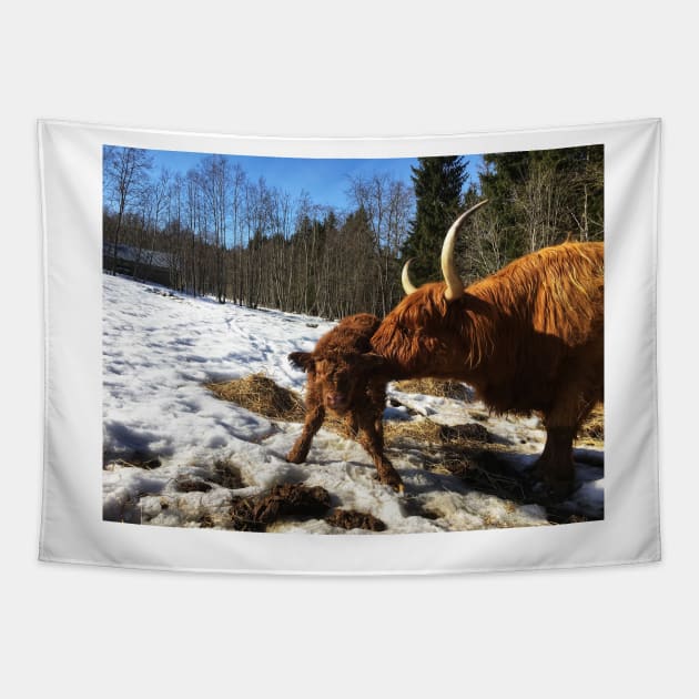 Scottish Highland Cattle Cow and Calf 1733 Tapestry by SaarelaHighland