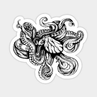 Octopus Magnet