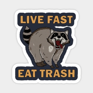 Raccoon - Live Fast Eat Trash Magnet