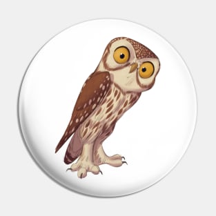 Little owl Pin