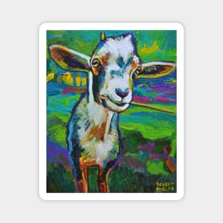 Theodore the Goat Magnet