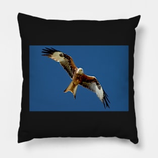 Red Kite in Flight Pillow