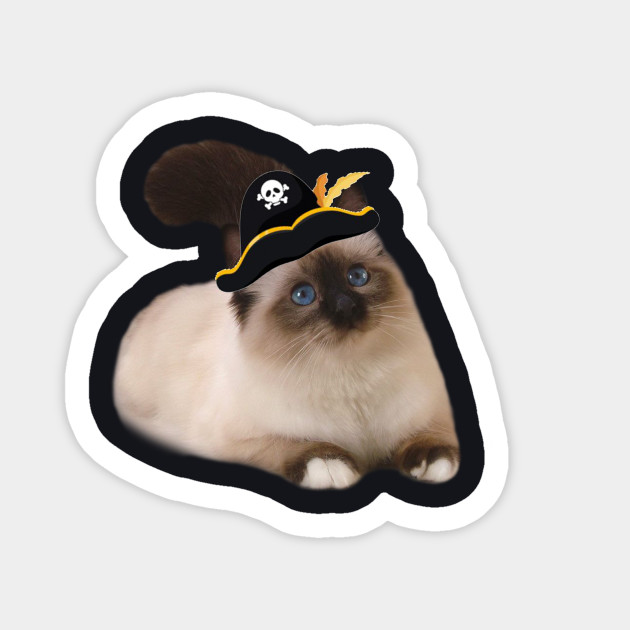 Balinese Cat Halloween Costume Cat Pirate Gifts Balinese Cat