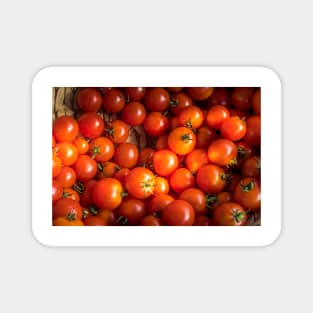 Garden Tomatoes 2 Magnet