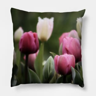 Spring Tulips Pillow