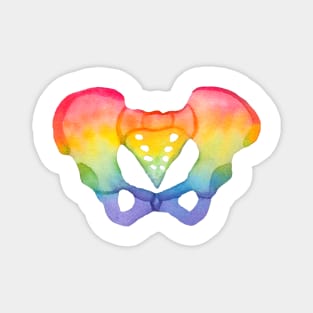 Rainbow Watercolor Pelvis (white) Magnet