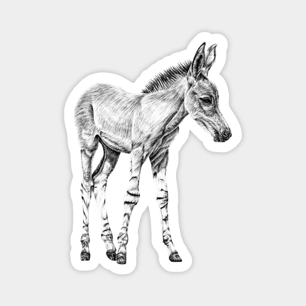 Somali wild ass foal illustration Magnet by lorendowding